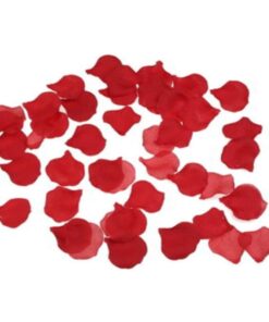 DIABLO PICANTE - 100 ROTE BLÜTENBLTTER