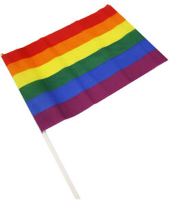 PRIDE - LGBT-FLAGGE GROßER WIMPEL