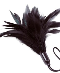 ADRIEN LASTIC  PRESTIGE SCHWARZER STAUB