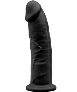 SILEXD - MODELL 2 REALISTISCHER PENIS PREMIUM SILEXPAN SILIKON SCHWARZ 23 CM